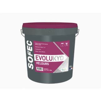 peinture 2en1