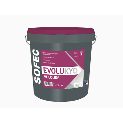 peinture 2en1